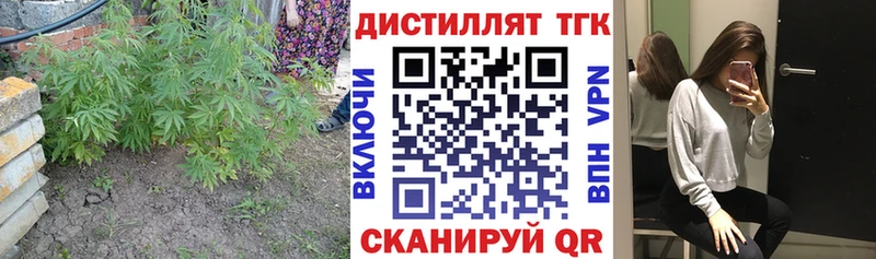 Купить закладки  Шиханы  Дистиллят ТГК гашишное масло 