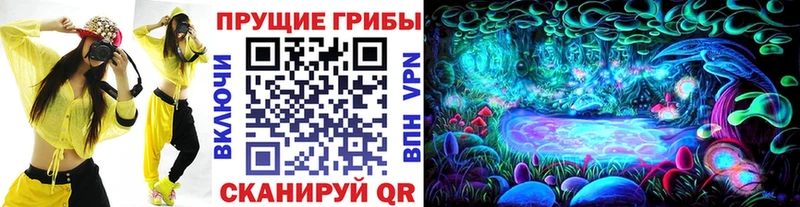 Купить  Шиханы  Псилоцибиновые грибы Magic Shrooms 
